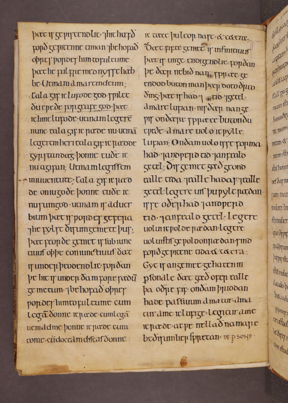 MS 38 Folio II  verso